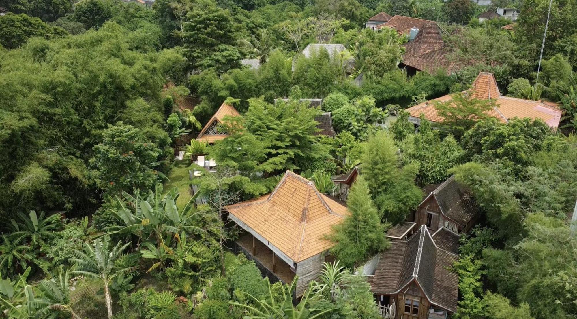 Ubuntu Bali Eco Yoga Retreat - Canggu Zewnętrze zdjęcie