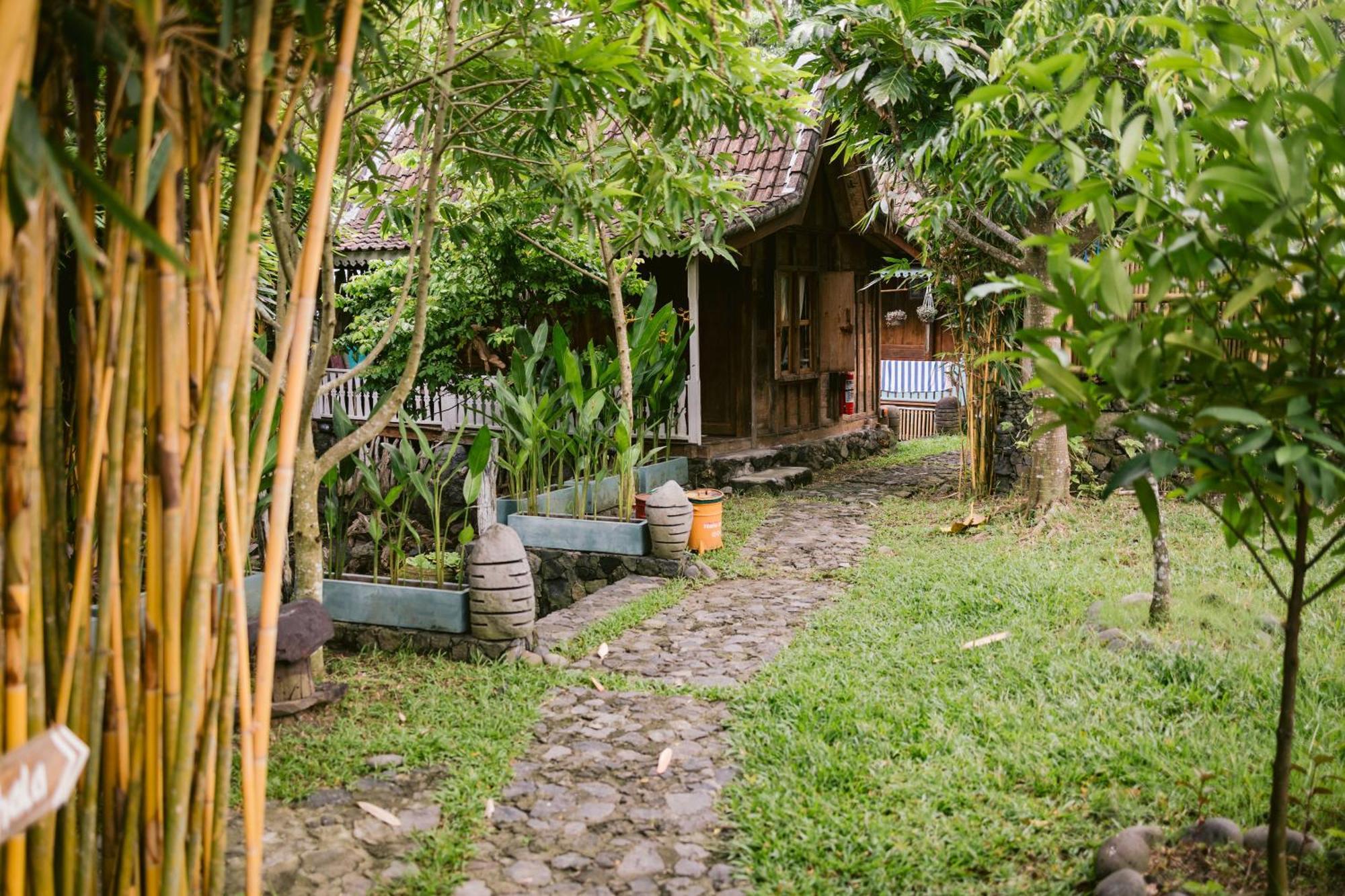 Ubuntu Bali Eco Yoga Retreat - Canggu Zewnętrze zdjęcie